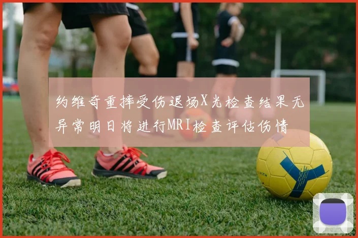 约维奇重摔受伤退场X光检查结果无异常明日将进行MRI检查评估伤情