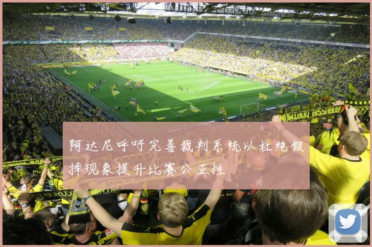 阿达尼呼吁完善裁判系统以杜绝假摔现象提升比赛公正性