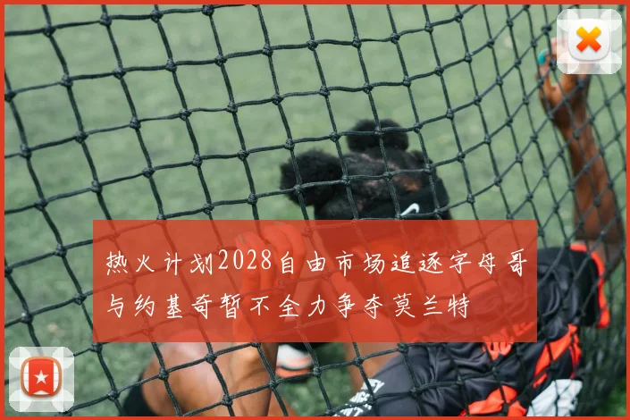 热火计划2028自由市场追逐字母哥与约基奇暂不全力争夺莫兰特