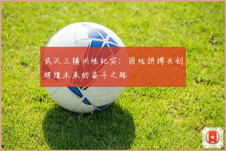 武汉三镇训练纪实：团结拼搏共创辉煌未来的奋斗之路